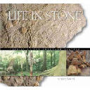 Life In Stone: Fossils Of The Colorado Plateau